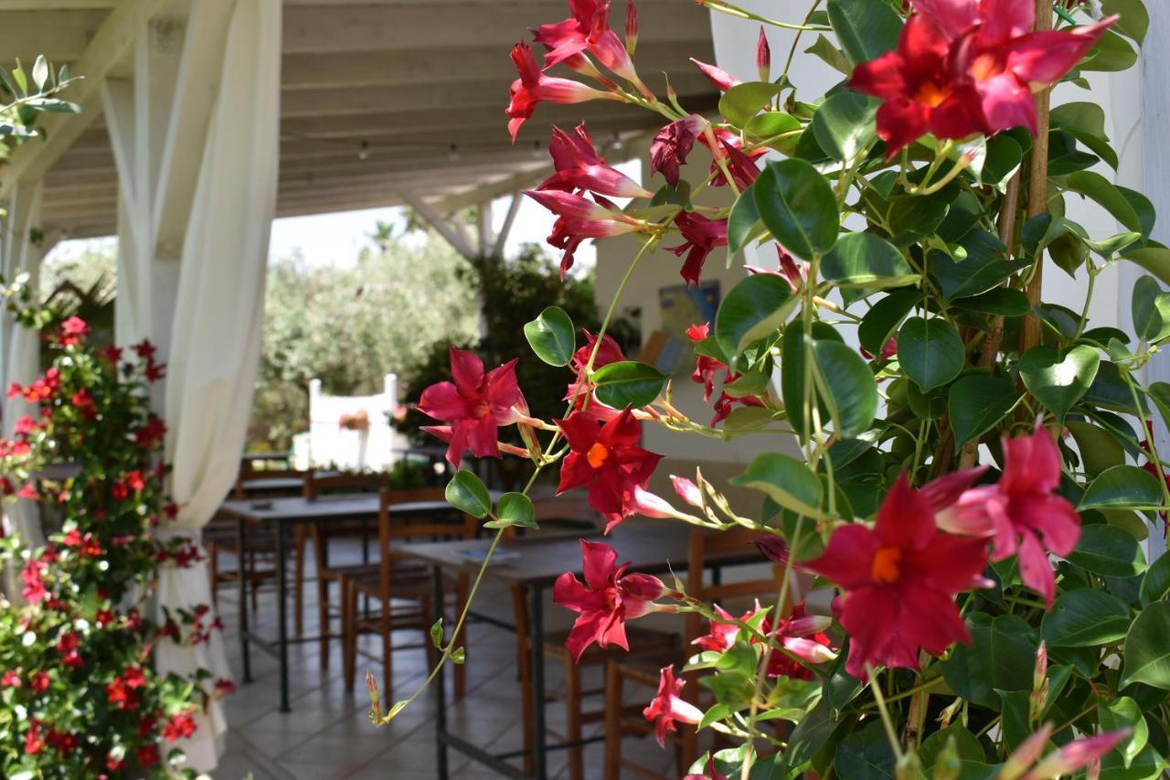 Cannole B&B Li Ccoti المظهر الخارجي الصورة